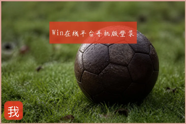 Win在线平台手机版登录